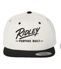 Two-Tone Snapback