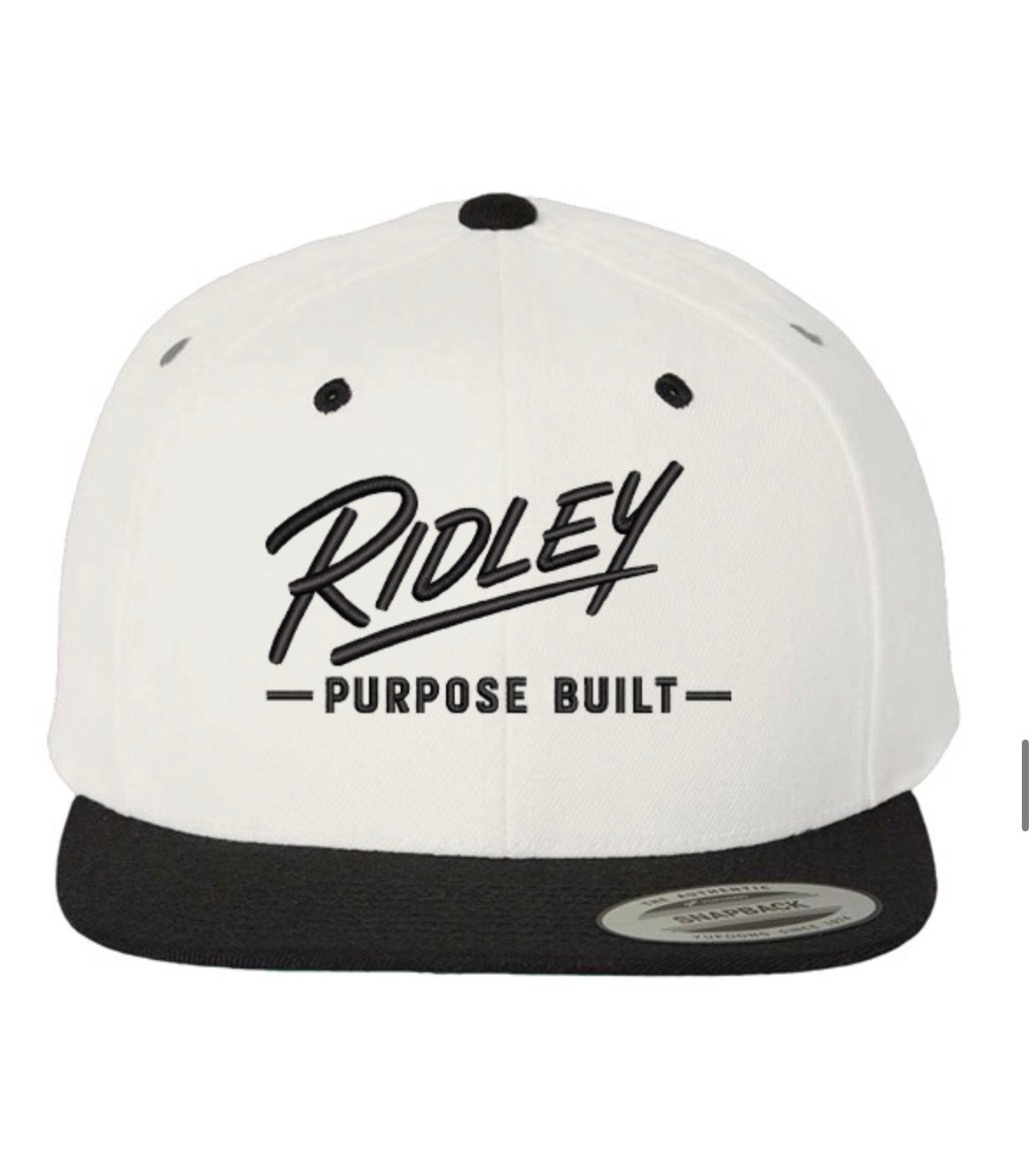 Two-Tone Snapback